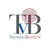 Consorzio Triveneto